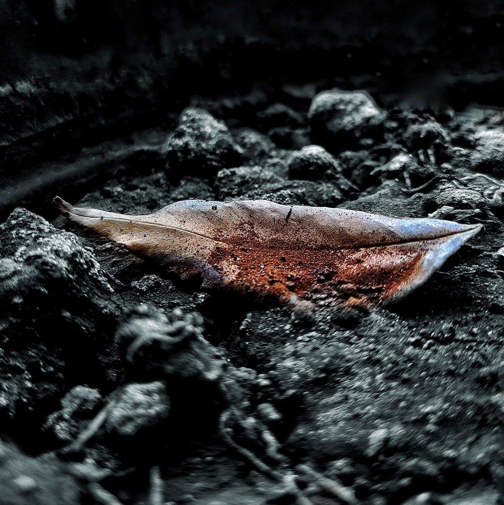 Photograph by Kandarp Mehta