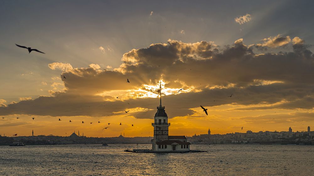 Фотография автора FATIH GONUL