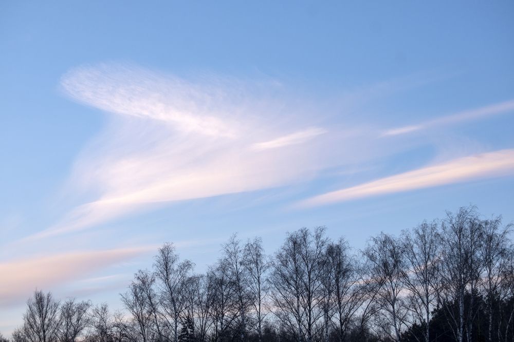 Photograph by Михаил Серебренников