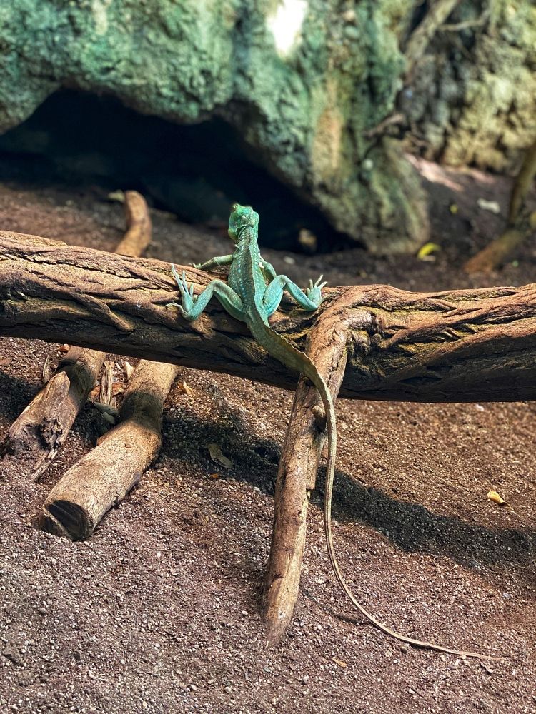 Photograph by Mezbah Shawon