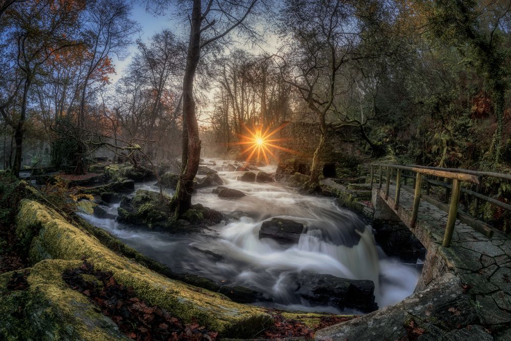 Photograph by Damian Varela