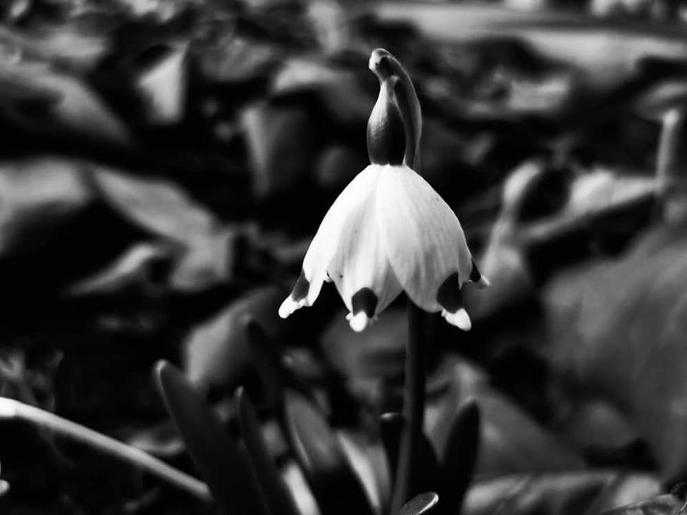 Photograph by Андрей Зиновьев