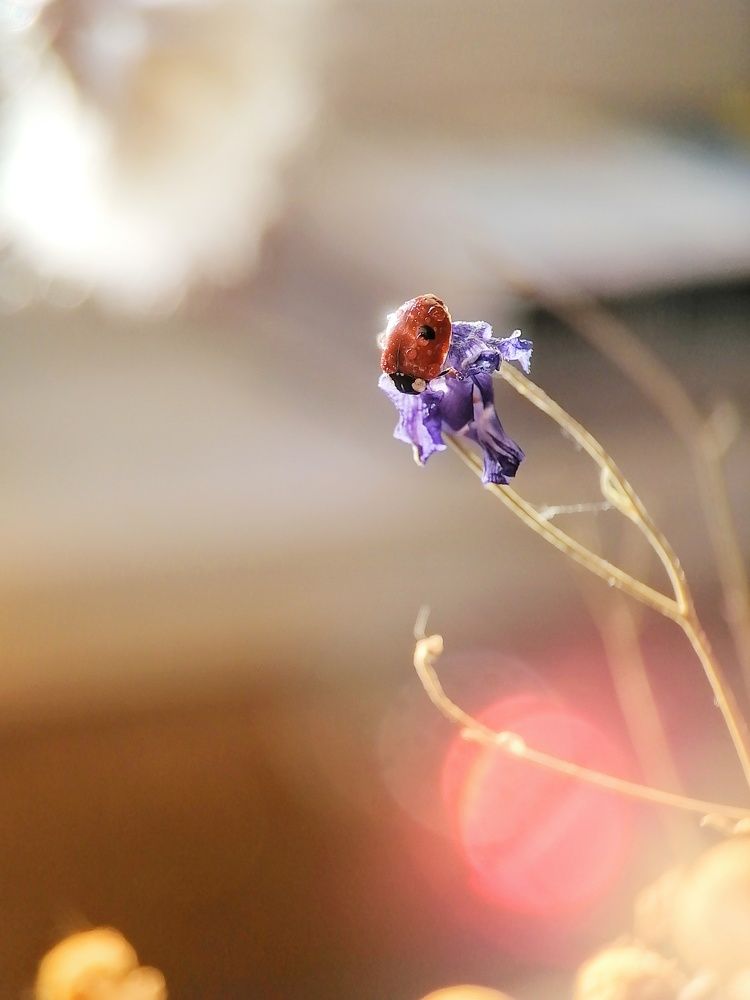 Photograph by Ирина Чиж