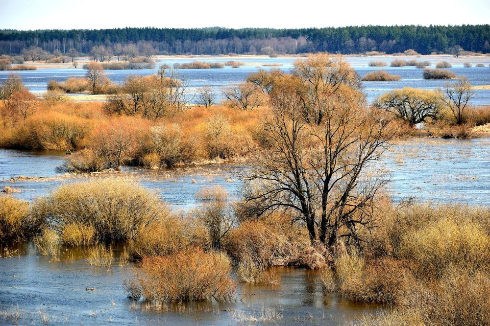 Photograph by Валерий Талейко