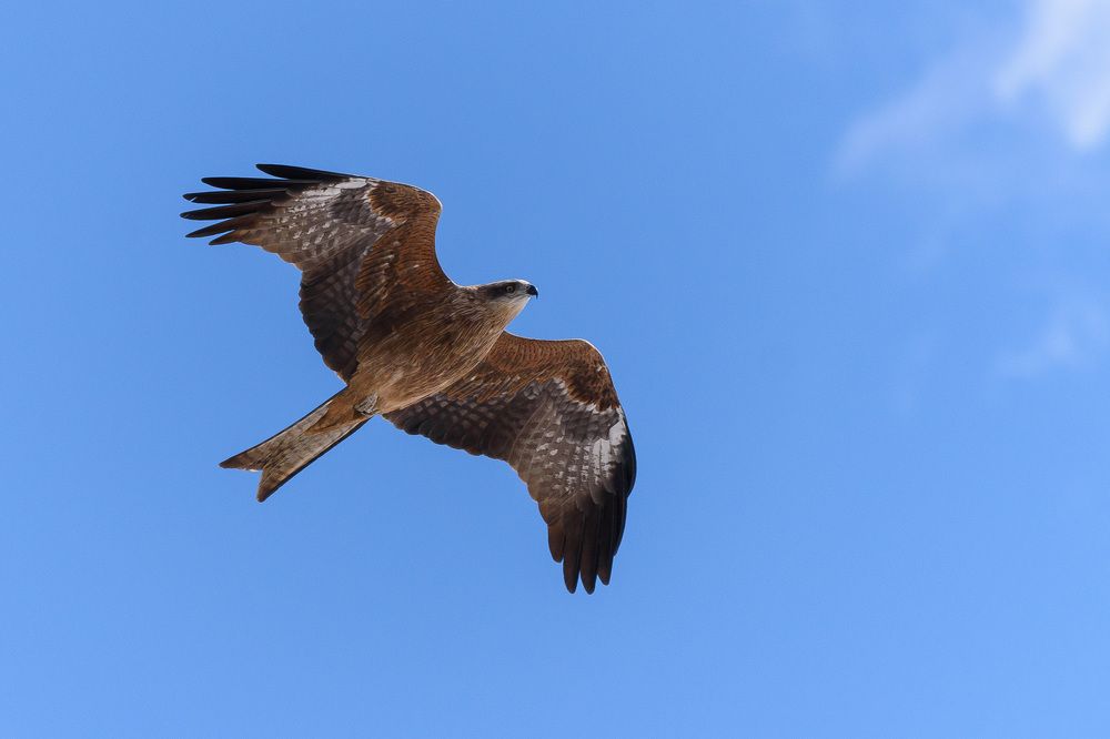 Навстречу весне