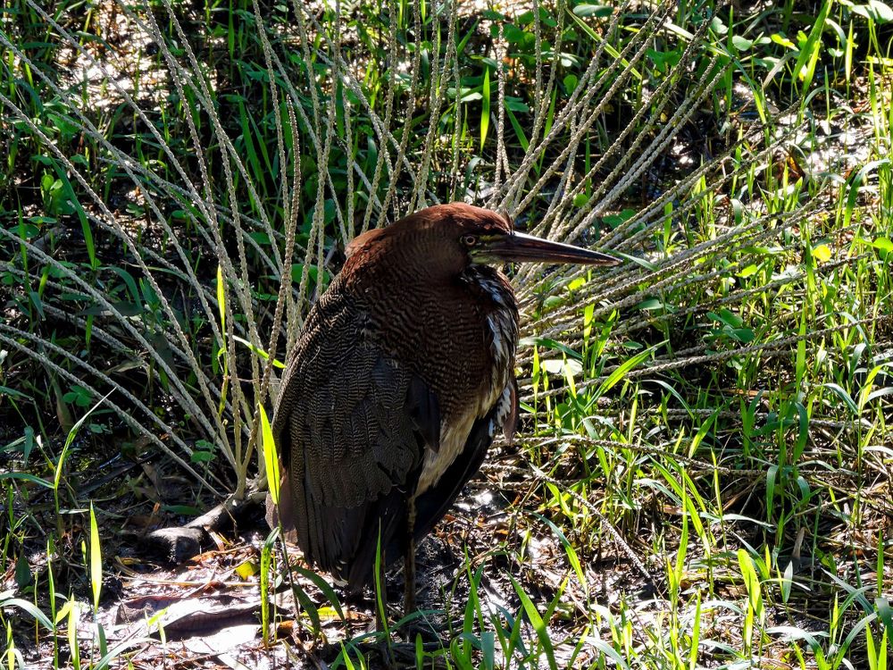 Photograph by Rodrigues Helena