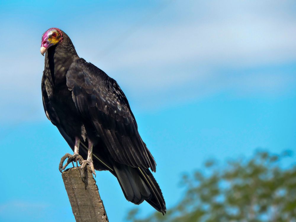 Photograph by Rodrigues Helena