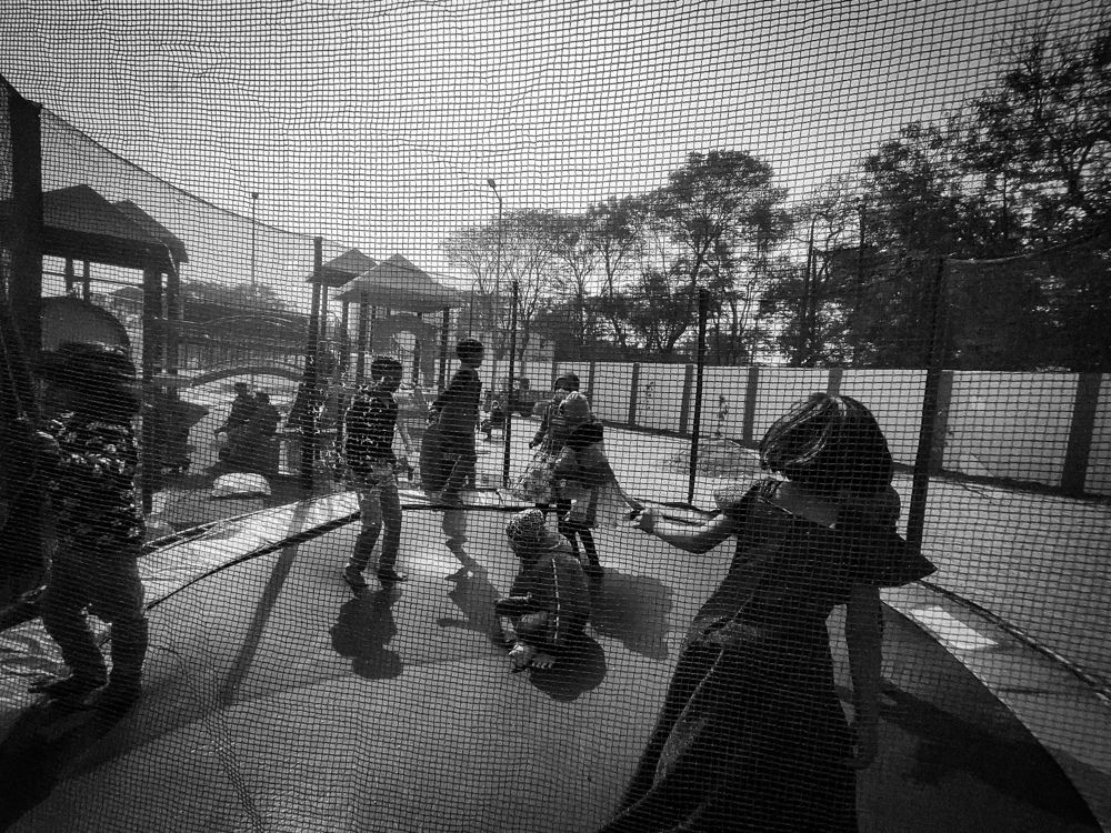 Photo #6015401