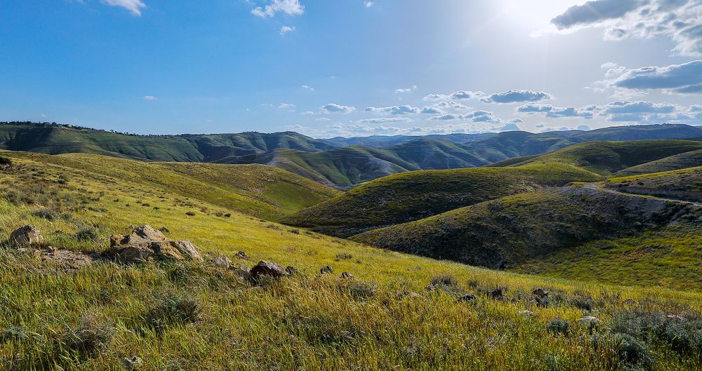 Photograph by Дмитрий Самборский