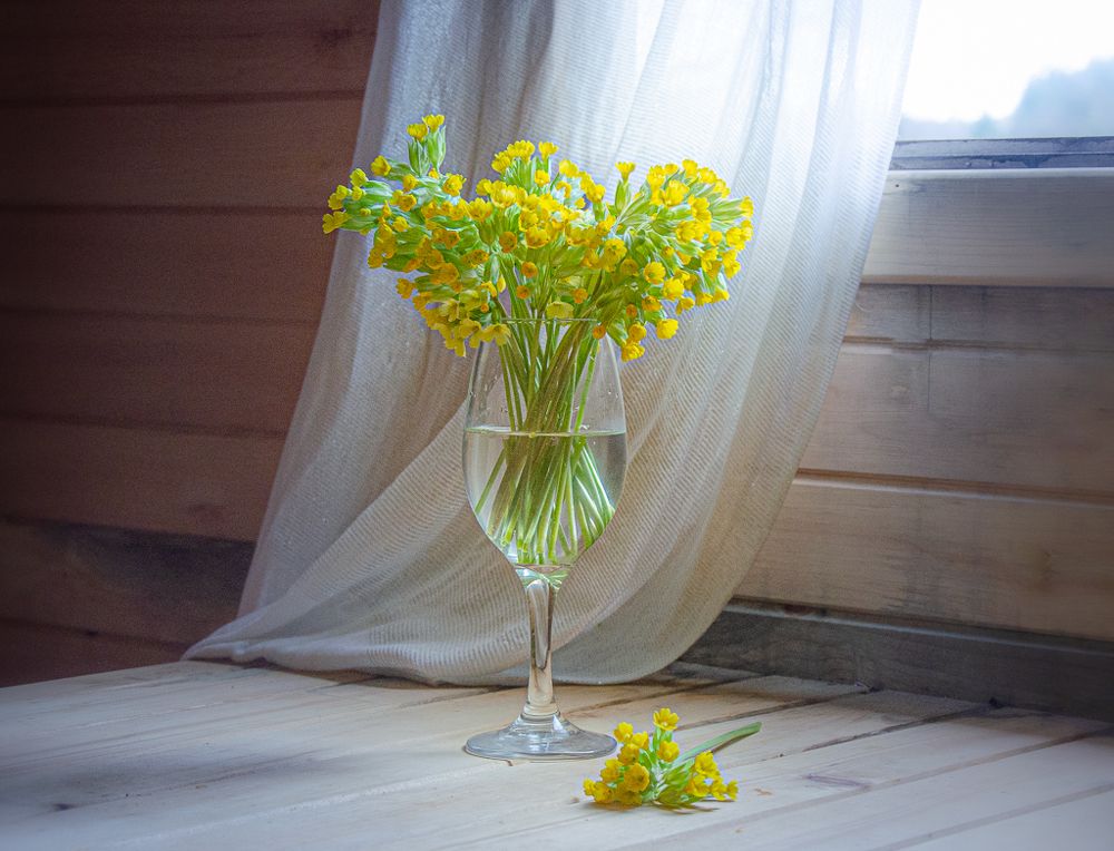 Photograph by LYUDMYLA POKRYSHEN