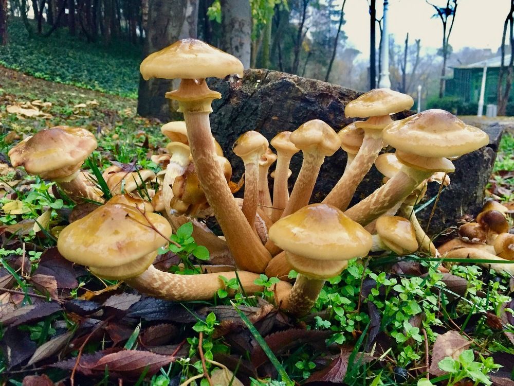 Photograph by Ahmet Aka