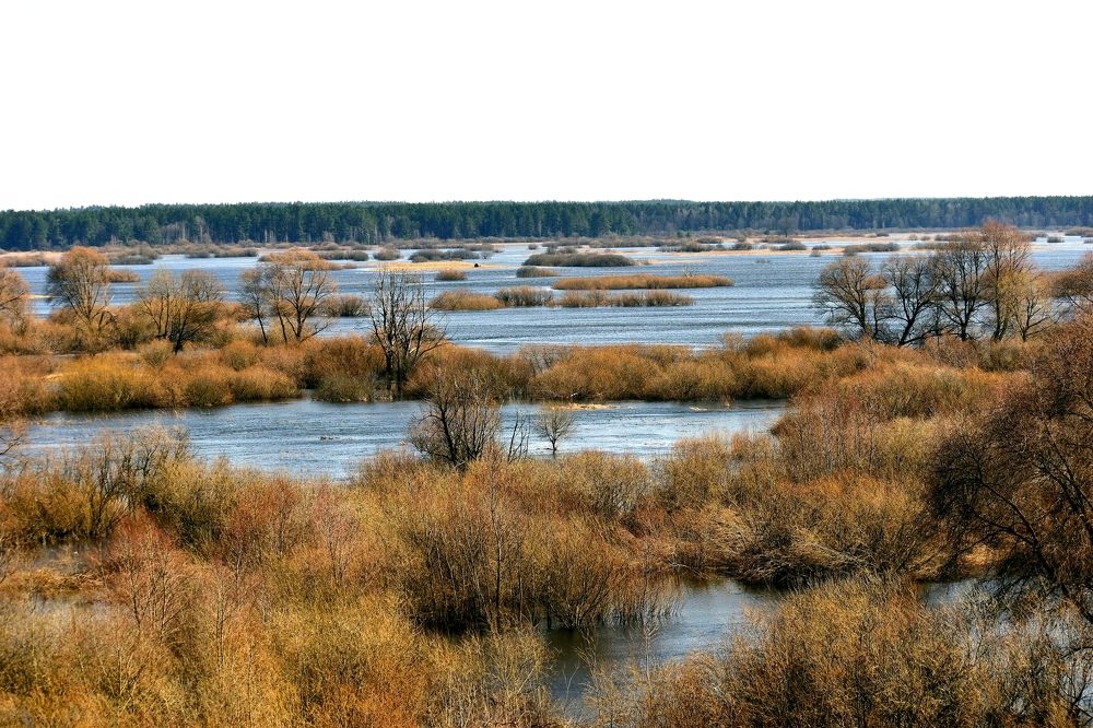 Photograph by Валерий Талейко