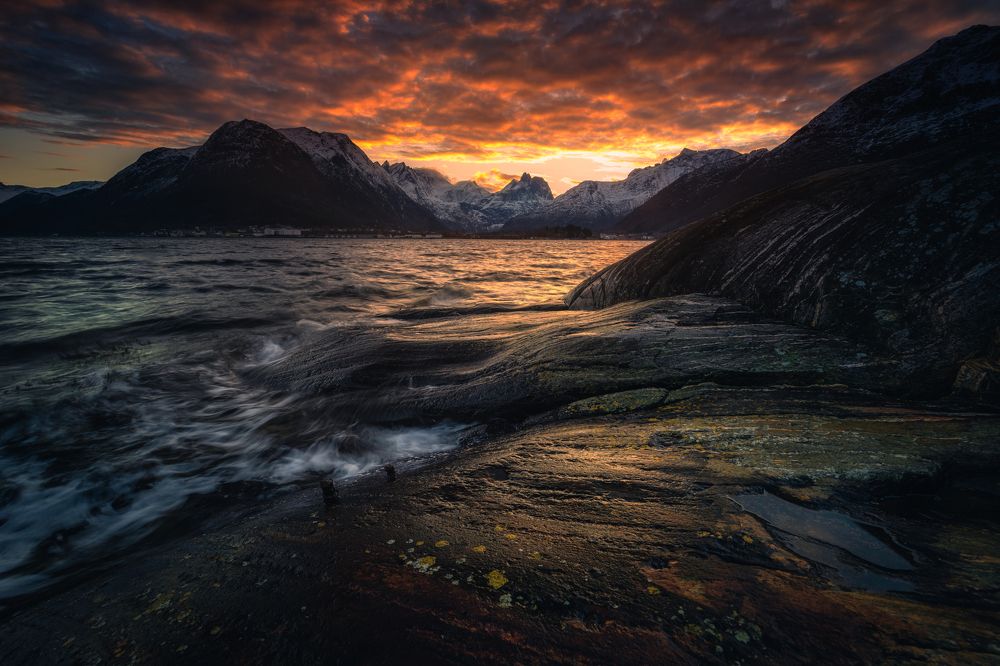 Photograph by Adrian Szatewicz