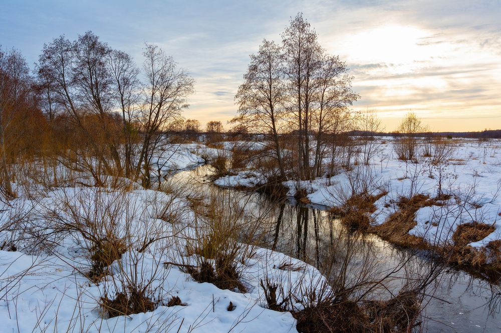 Photograph by Светлана Ващенко