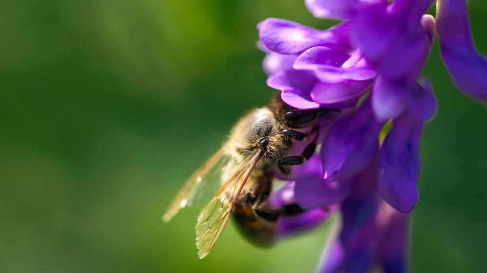 Photograph by Ирина