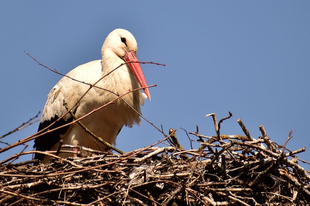 Photograph by Валерий Талейко