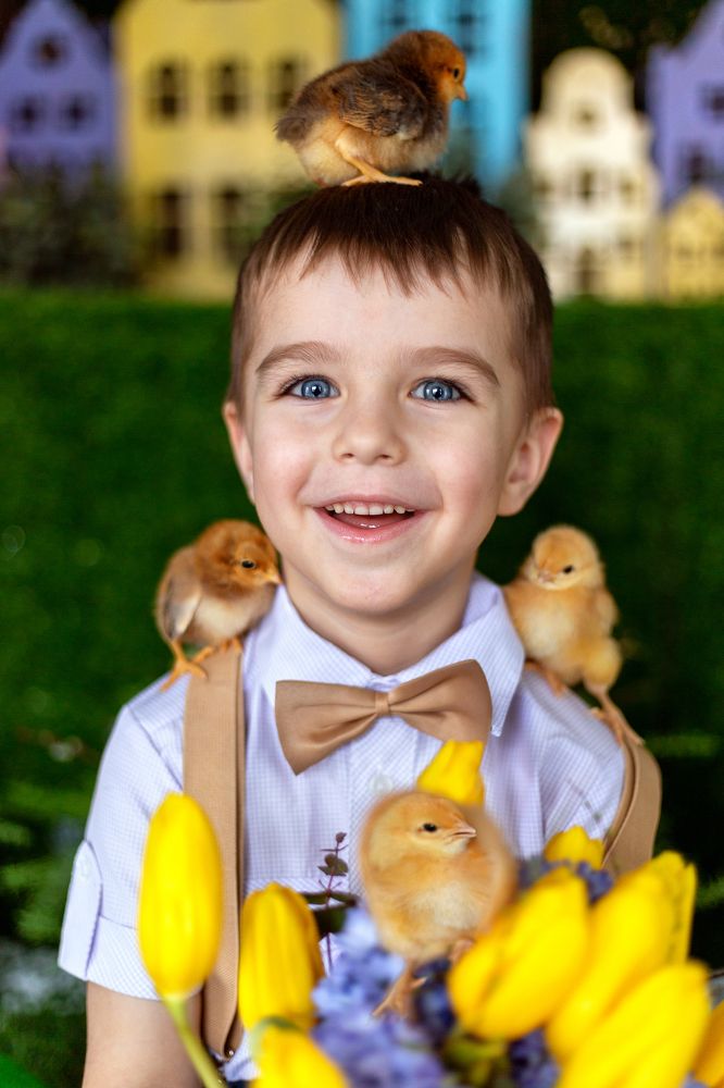 Фотография автора Елена Ходус