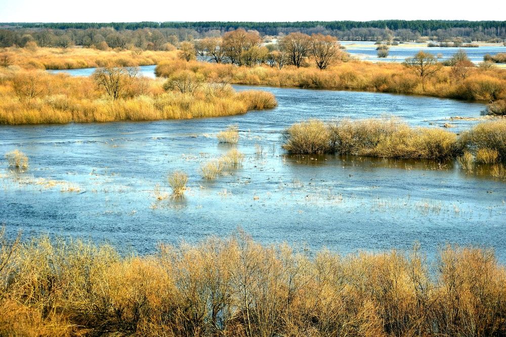 Photograph by Валерий Талейко