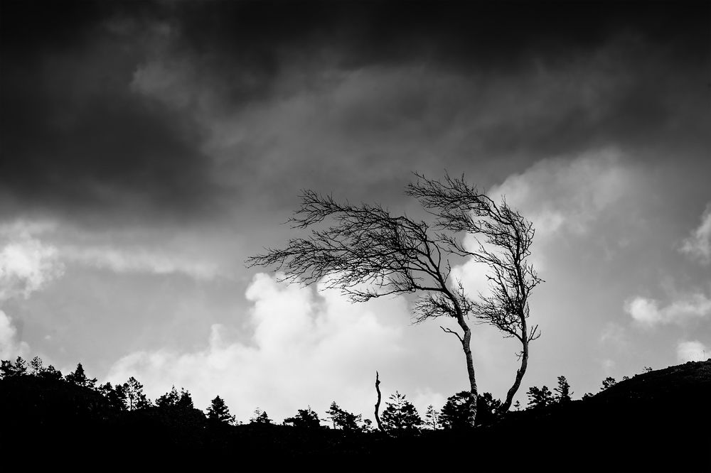 Photograph by Oddvar Johnsen