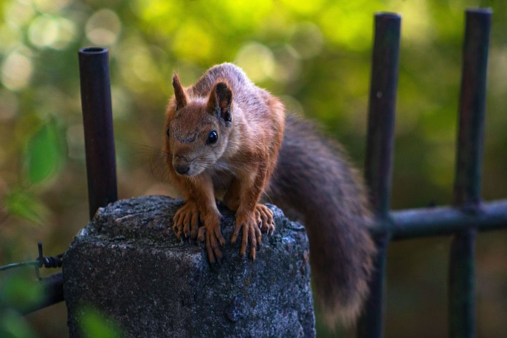 Photograph by Филипп Косенко