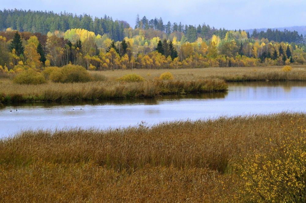 Photograph by Zdeňka Hudcová