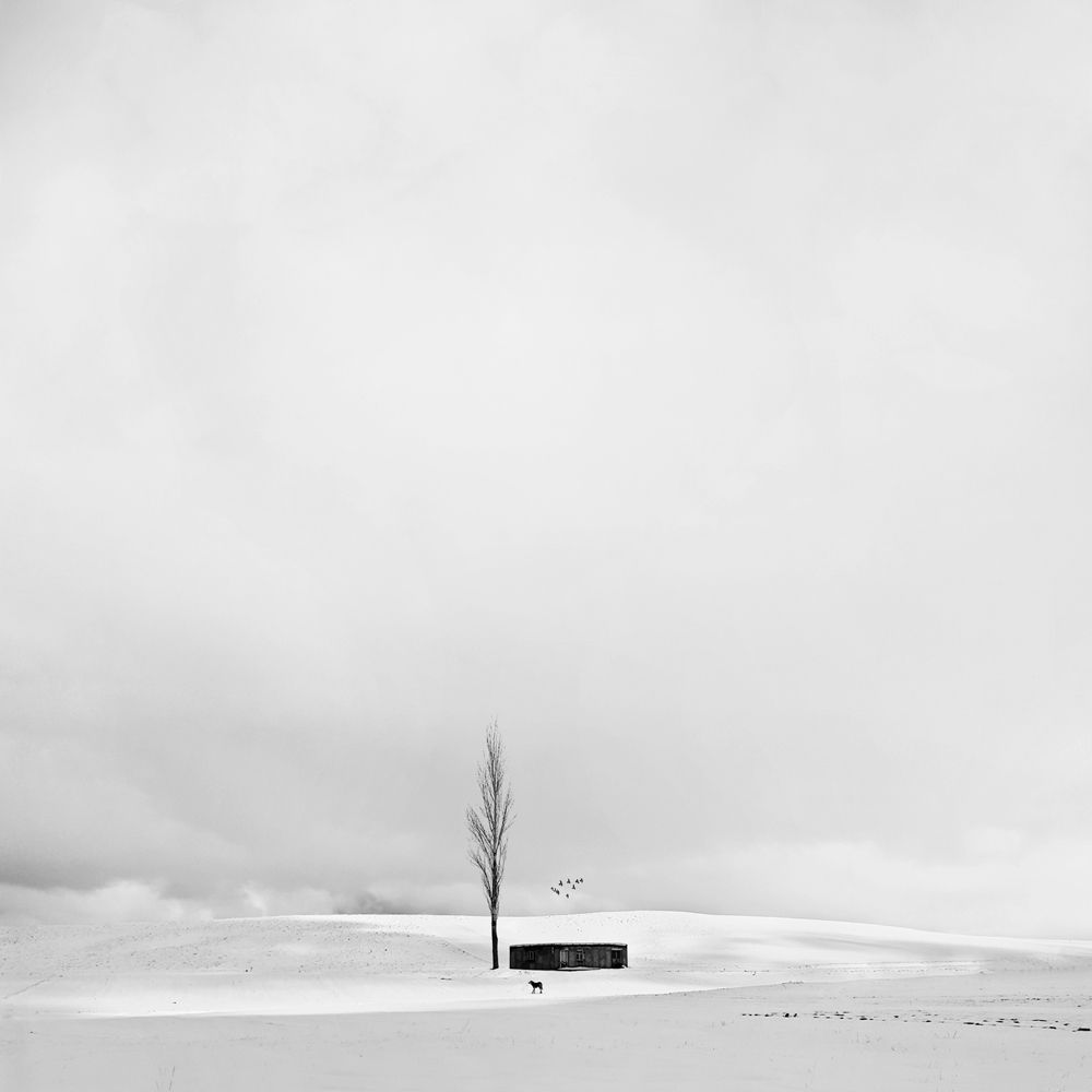 Photograph by Mohammad Dadsetan