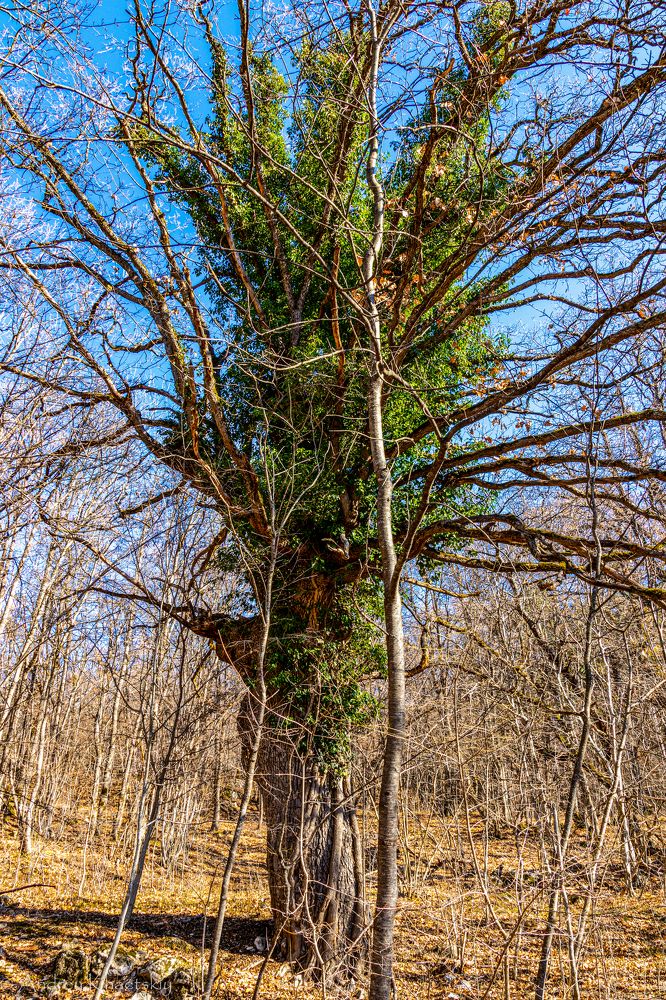 Photograph by Андрей Хаецкий