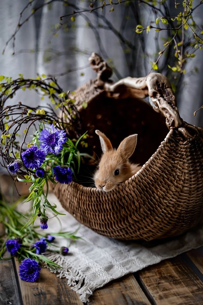 Photograph by Татьяна Кытина