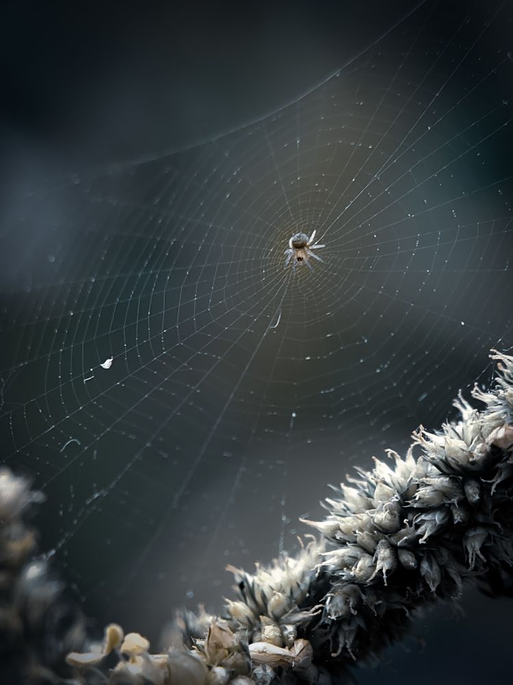 Photograph by chikhin