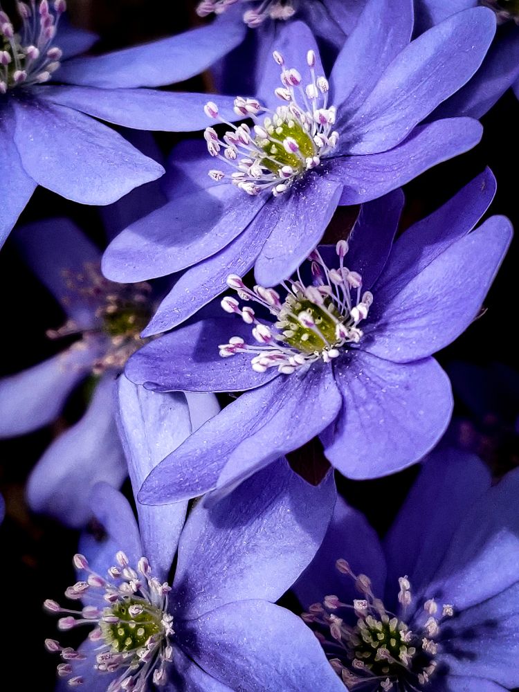 Photograph by Елена Башмакова