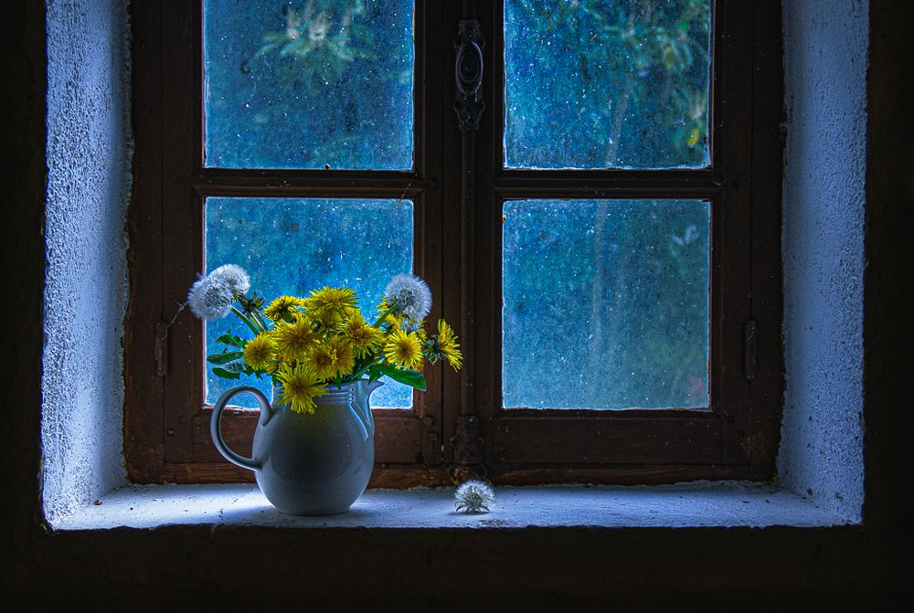 Dandelions in the Moonlight...