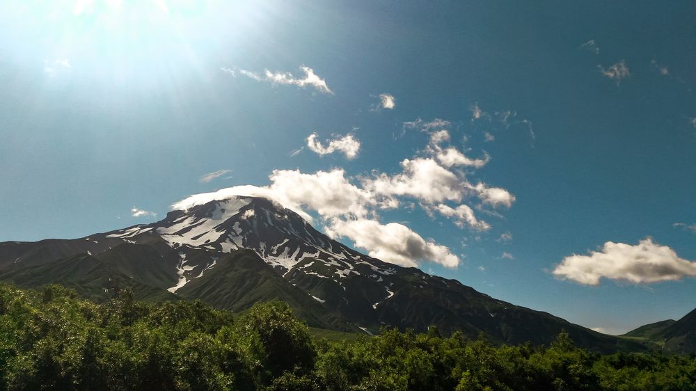 Photo #6016356