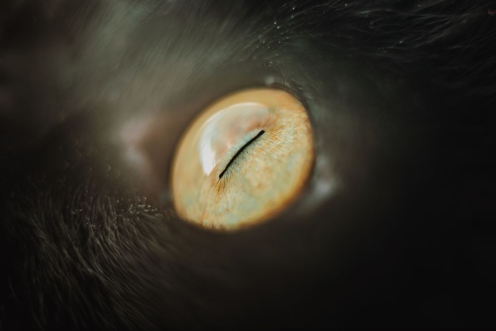 Photograph by Владислав Грибов