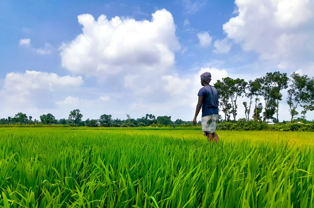 In The Land of the Diamond king