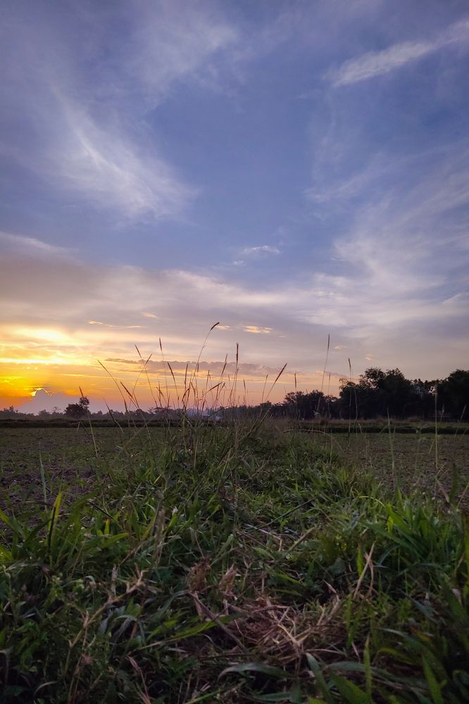 Photograph by chikhin