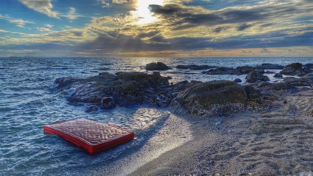 Гуляя вдоль моря никогда не знаешь на какие сокровища наткнёшься