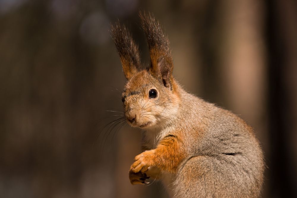 Photograph by Наталья Гайдукевич