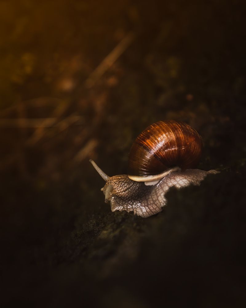 Photograph by Поляков Михаил