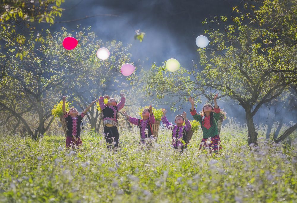 Фотография автора Vũ Long