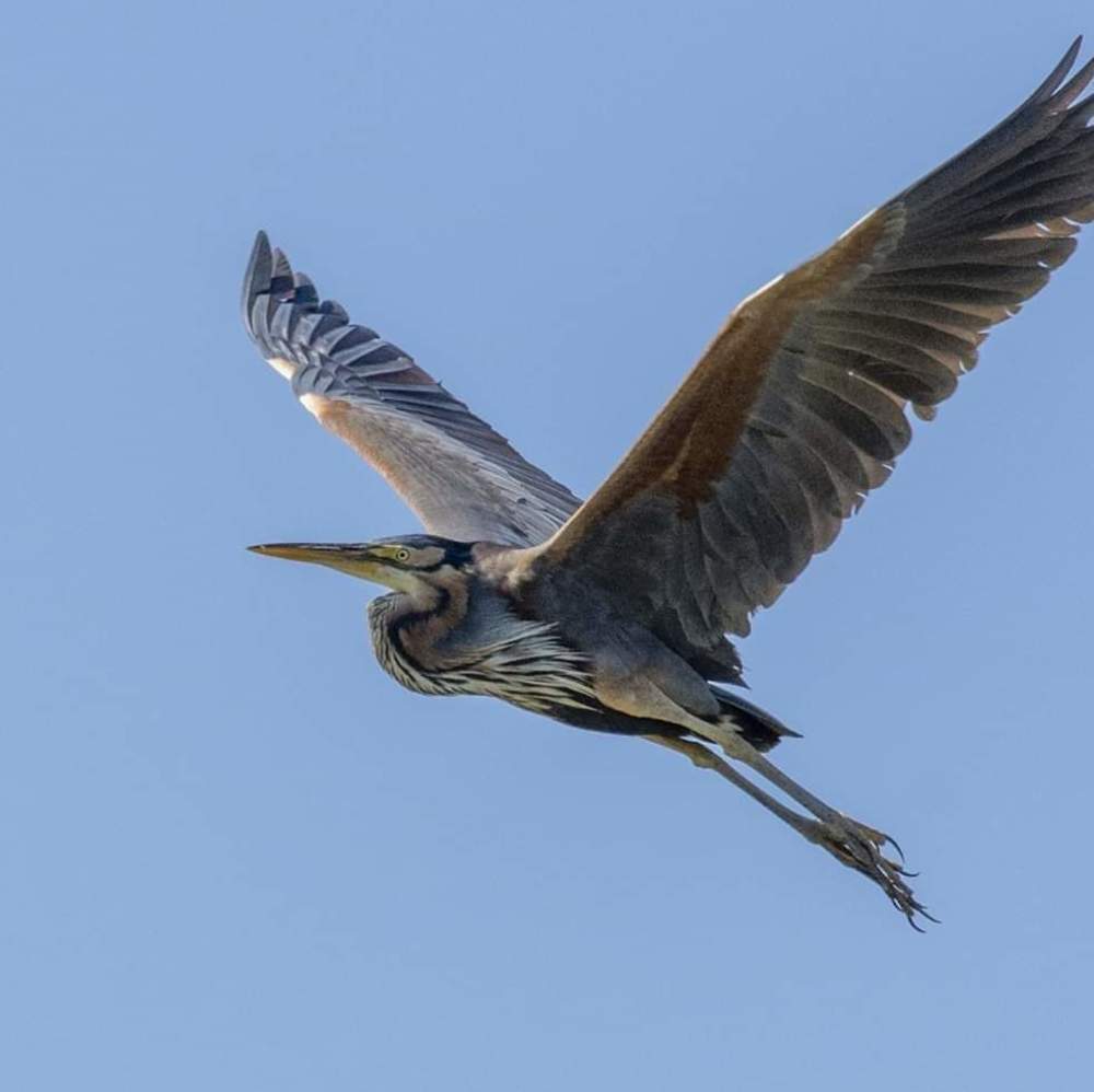 Photograph by Luca liberotti