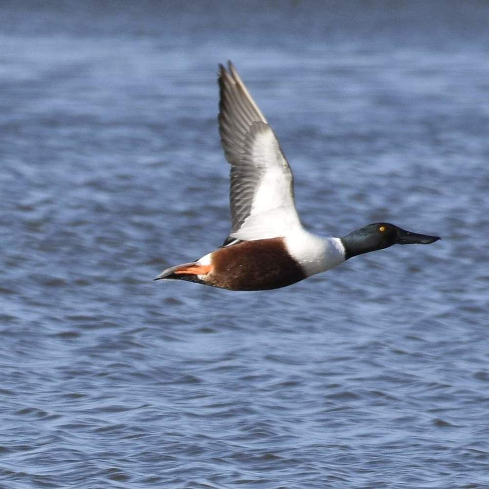 Photograph by Luca liberotti