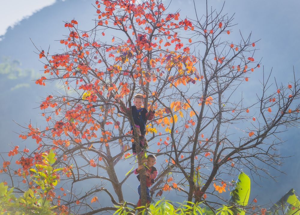 Фотография автора Vũ Long