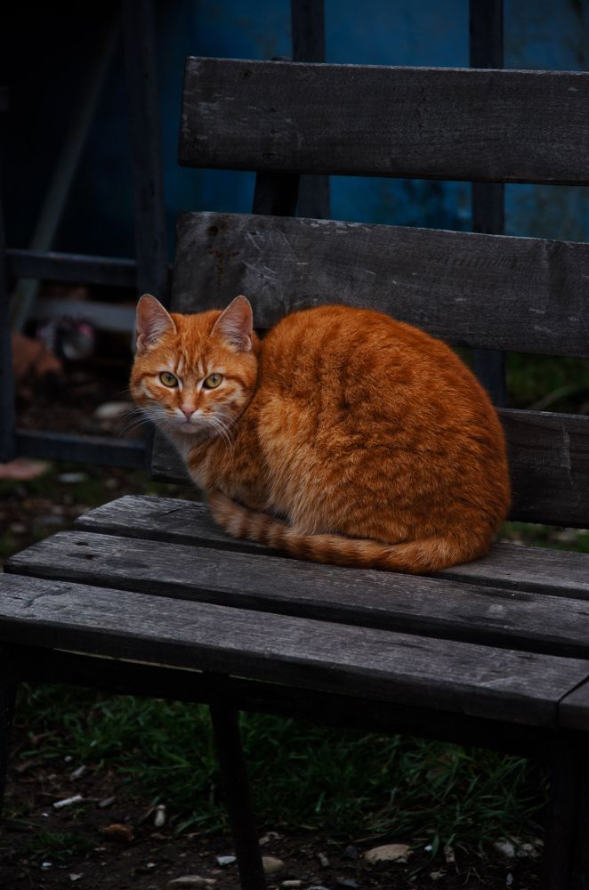 Photograph by Дарья Трошина