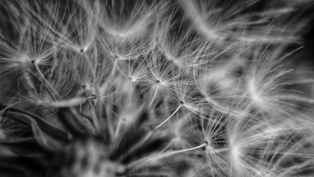 Photograph by Arslan