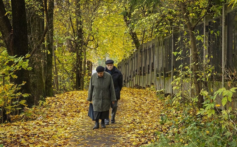 Жизнь прожить не поле перейти...