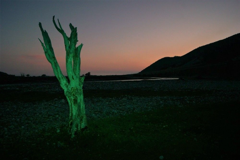 Photograph by Сергей Писарев