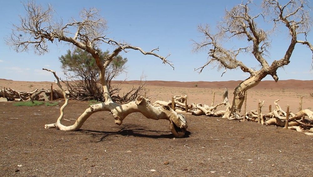 Photograph by Сергей Писарев