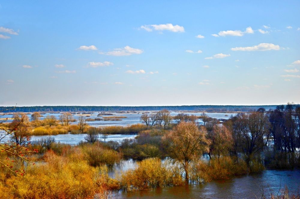 Photograph by Валерий Талейко