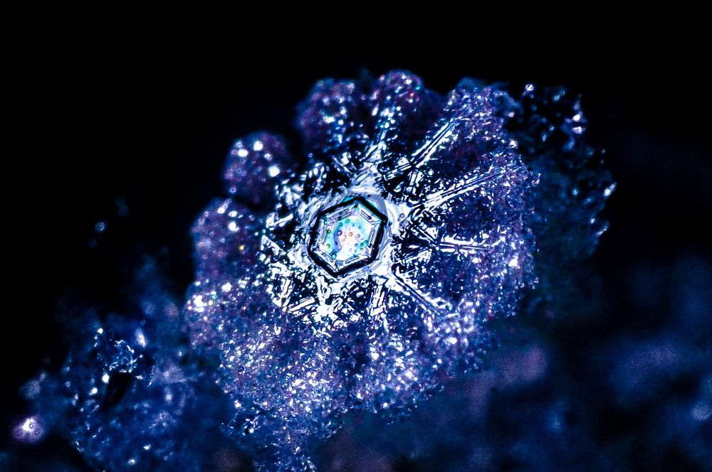 Photograph by Владислав Грибов