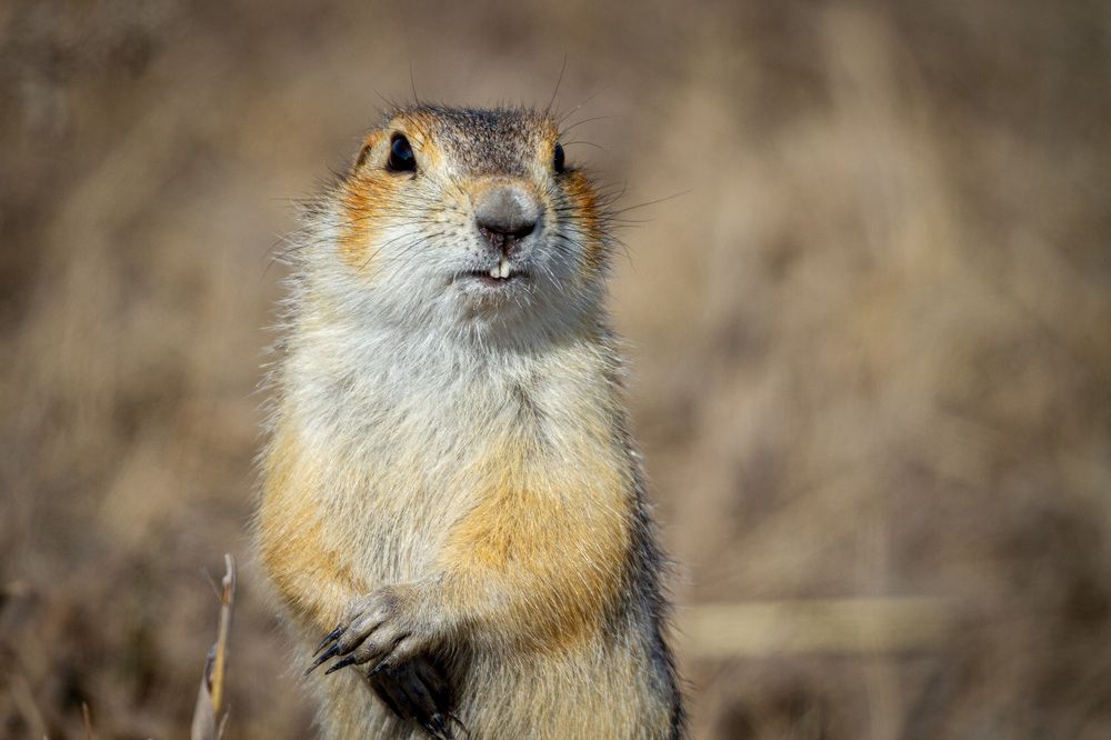 Photograph by Артем